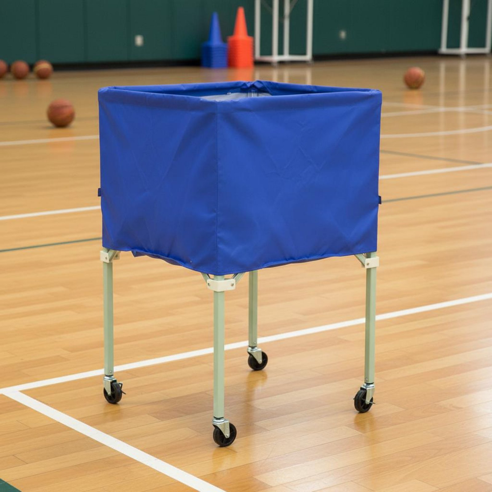 Ball Vehicle Cover Shielding S - Sports Equipment Rack review and price